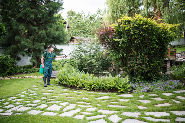 Best Best Pest Control Companies  in Brady, TX