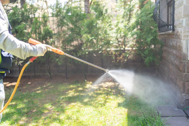 Best Mosquito Control Services  in Brady, TX