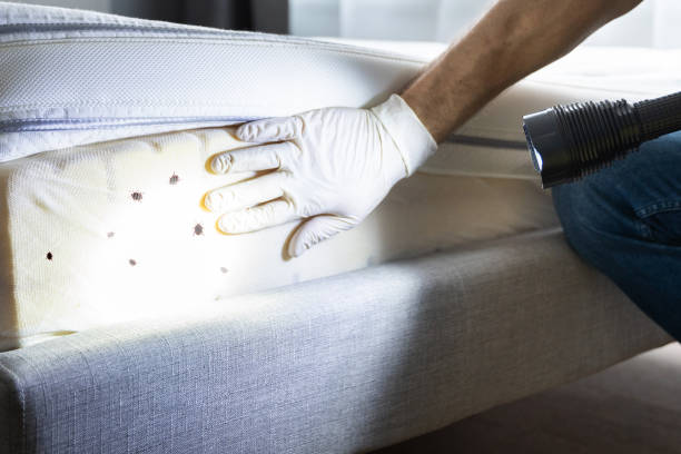 Best Affordable Pest Control Services  in Brady, TX