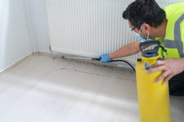 Best Affordable Pest Control Services  in Brady, TX