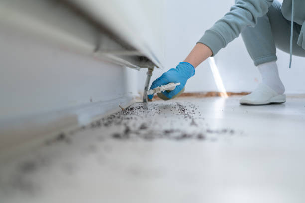 Best Exterminator Services  in Brady, TX