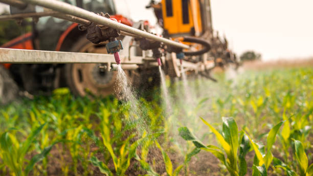 Reliable Brady, TX Pest Control Solutions