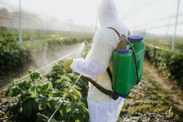 Best Cockroach Control Services  in Brady, TX